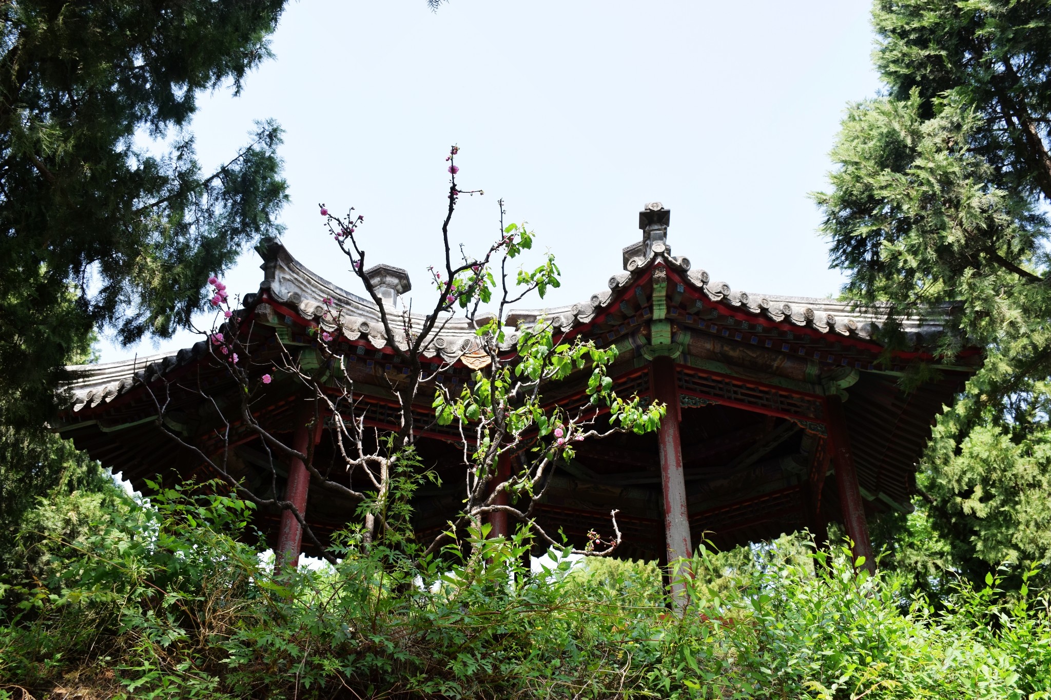 Historical Architecture